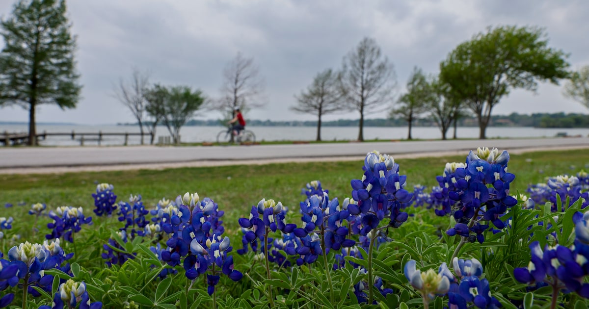 A cloudy Sunday starts off an overcast week in North Texas. Will there be rain?