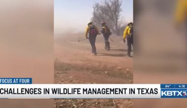 Expert explains the emerging challenges for wildfire management in rural Texas