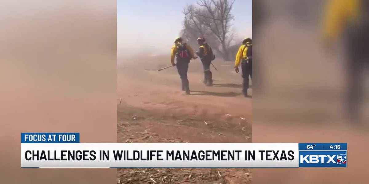 Expert explains the emerging challenges for wildfire management in rural Texas