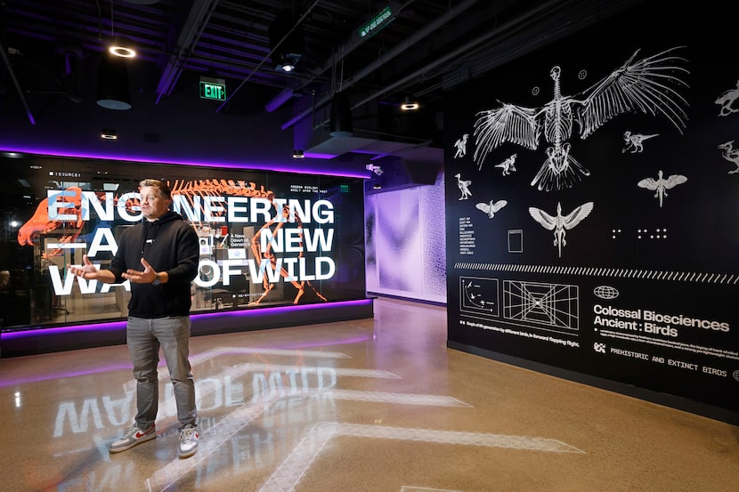 Matt James, chief animal officer at Colossal Biosciences, speaks to a reporter at their...