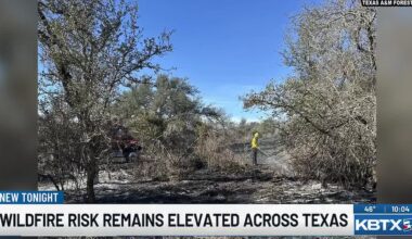 Panhandle wildfires contained as Texas warns of increased fire danger