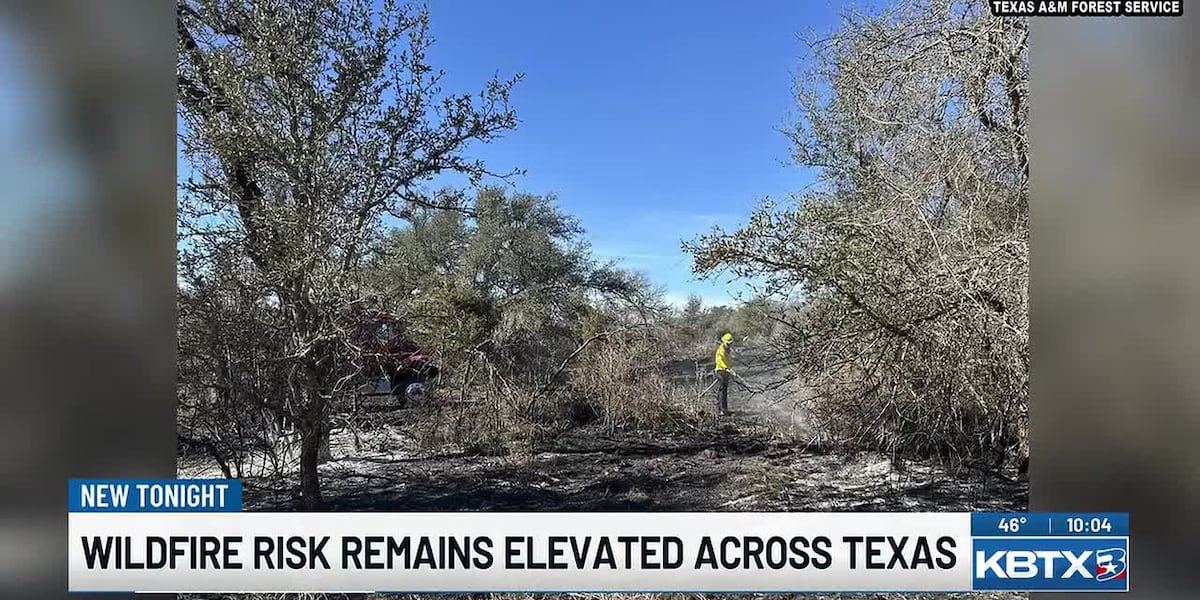 Panhandle wildfires contained as Texas warns of increased fire danger