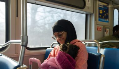 What do DART riders think about exit elections? Here’s what North Texans have to say