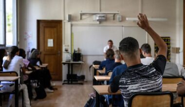 Navigating Texas Education Freedom Account Portal: Useful info for parents