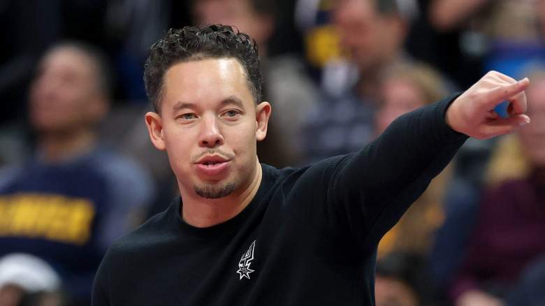 Mitch Johnson, Spurs