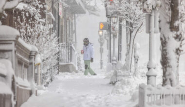 A person takes their reluctant dog on an early morning walk despite the wind and snow as the nor'easter hits Cambridge. (Robin Lubbock/WBUR)