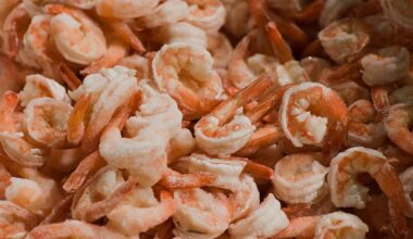 U.S. shrimpers say they need tariffs to survive