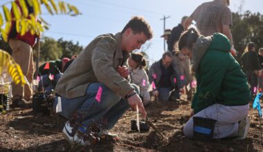 St. Edward’s pioneers environmental conservation method in Central Texas, plants first tiny forest of the area on campus