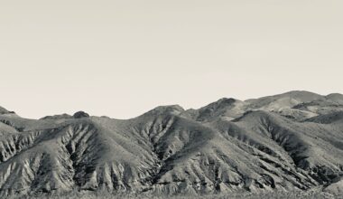 Sixth Year of Drought in Texas and Oklahoma Leaves Ranchers Bracing for Another Harsh Summer