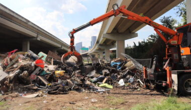 Dominic Anthony Walsh