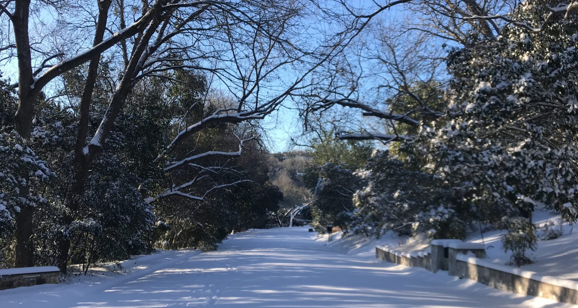 Feat or Fortune? How the Texas Grid Withstood This Year’s Winter Storm and Why It Felt Different