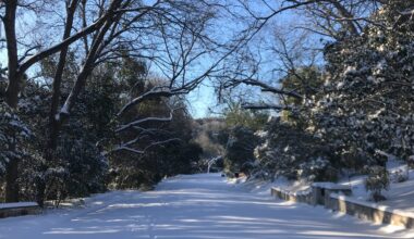 Feat or Fortune? How the Texas Grid Withstood This Year’s Winter Storm and Why It Felt Different