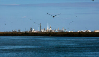 A view of Dow’s Seadrift chemical complex from the Victoria Barge Canal in Texas on Feb. 1. Credit: Dylan Baddour/Inside Climate News