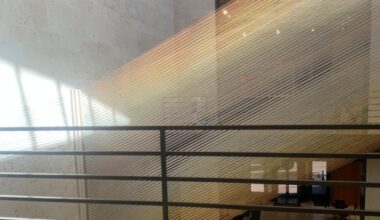 Amon Carter Museum welcomes TCU students for "College Night at the Carter"