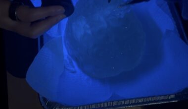 El Paso middle schooler finds purpose at Medventure after losing grandfather to cancer