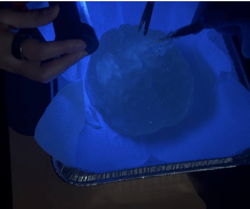 El Paso middle schooler finds purpose at Medventure after losing grandfather to cancer