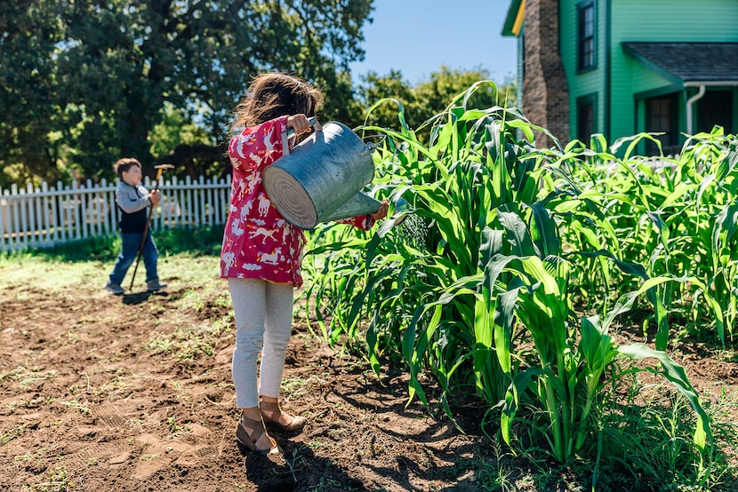 Nash Farm is hosting Spring Break on the Farm from March 15 through March 23, from 9 a.m. to...