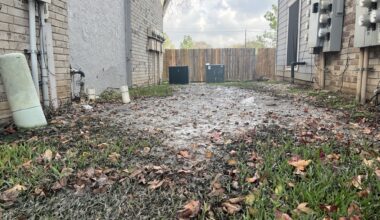 Dominic Anthony Walsh