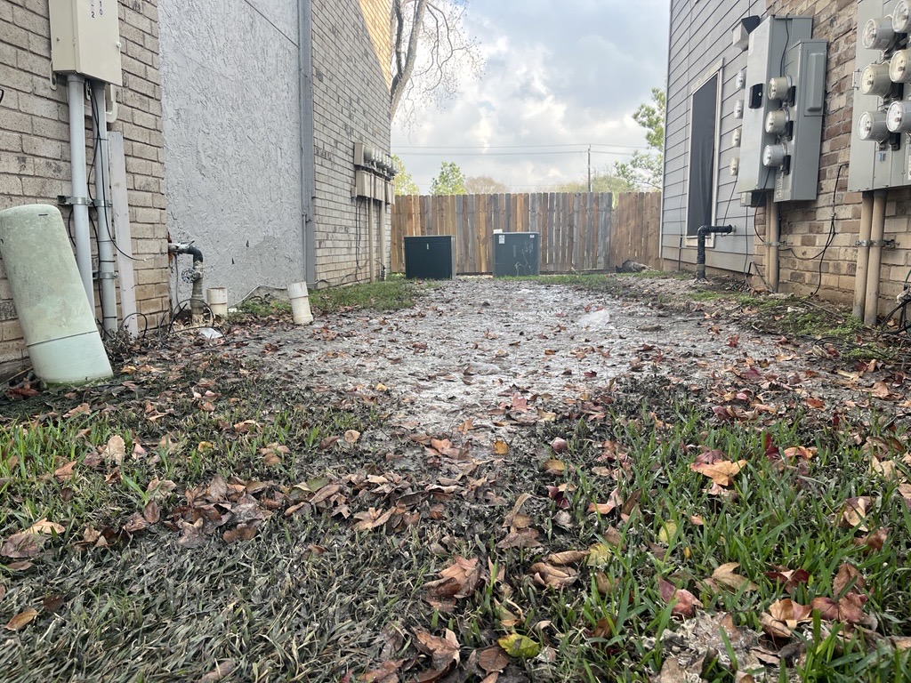 Dominic Anthony Walsh