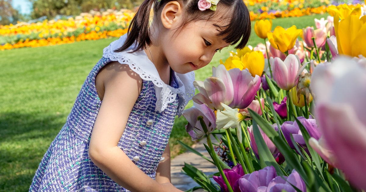 Fun things to do in Dallas-Fort Worth for the week of Feb. 20-Feb. 26