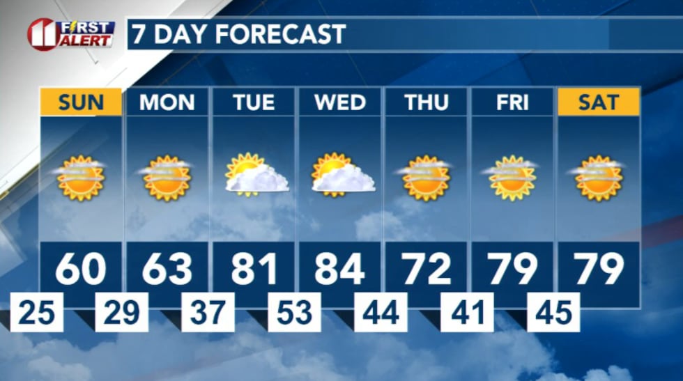 7 day forecast