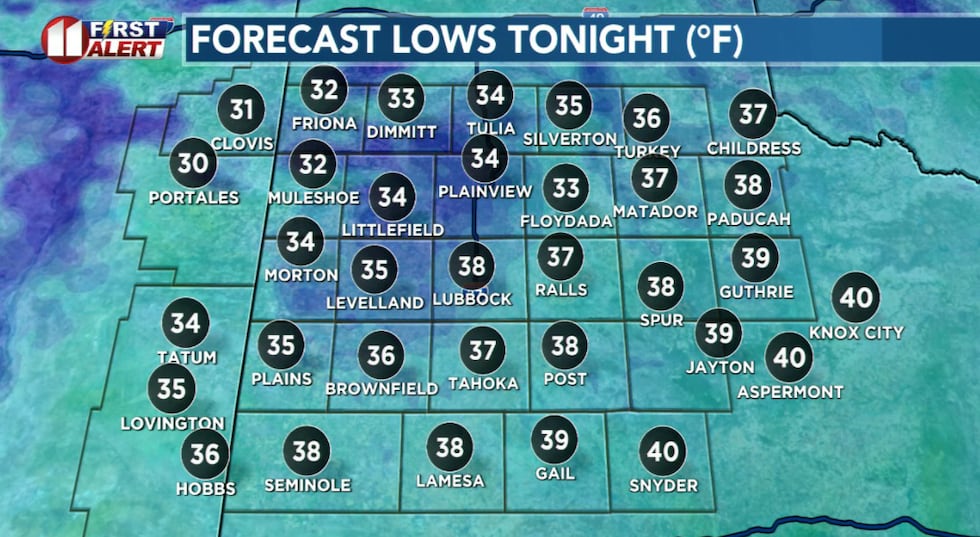 Though cold, early morning temperatures are pretty mild for early February!