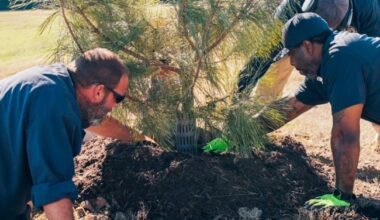 With 1 million trees planted, Houston nonprofit charts expansion to combat canopy loss | Kinder Institute for Urban Research