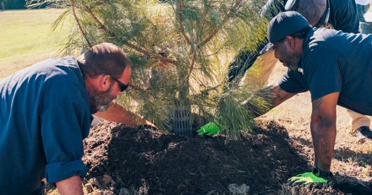 With 1 million trees planted, Houston nonprofit charts expansion to combat canopy loss | Kinder Institute for Urban Research