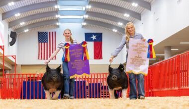 Hulk Hogan, Prager win top pig prizes at Fort Worth Stock Show