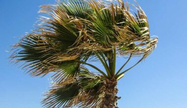 Tracking 30 mph winds but what does that mean?