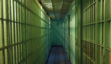 Acquired Through MGN Online on 11/04/2019