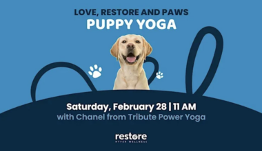 ‘Love, Restore and Paws’ to benefit Lubbock Animal Shelter