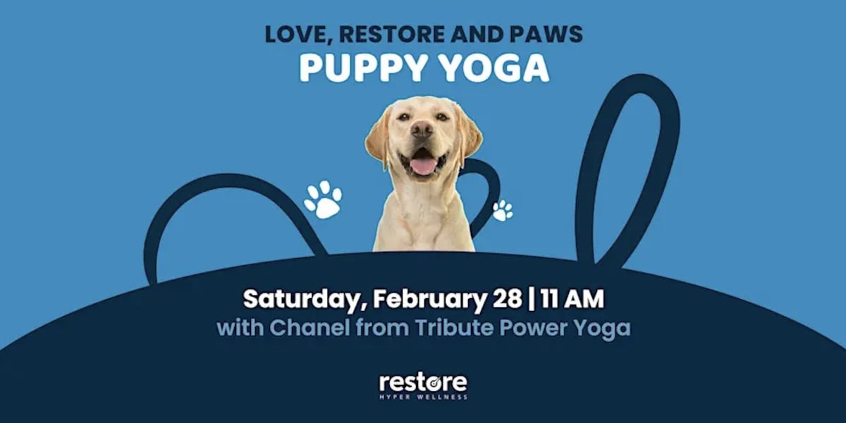 ‘Love, Restore and Paws’ to benefit Lubbock Animal Shelter