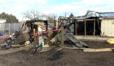 Fire destroys El Paso County kennel, owners raise money for volunteer firefighters who saved dozens of dogs
