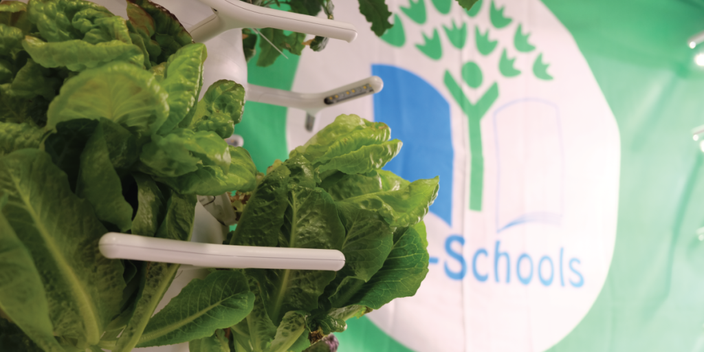 Odom’s Eco-Schools Green Flag is proudly displayed in the lobby, between hydroponic planters that are maintained by Krysta and Lisa.