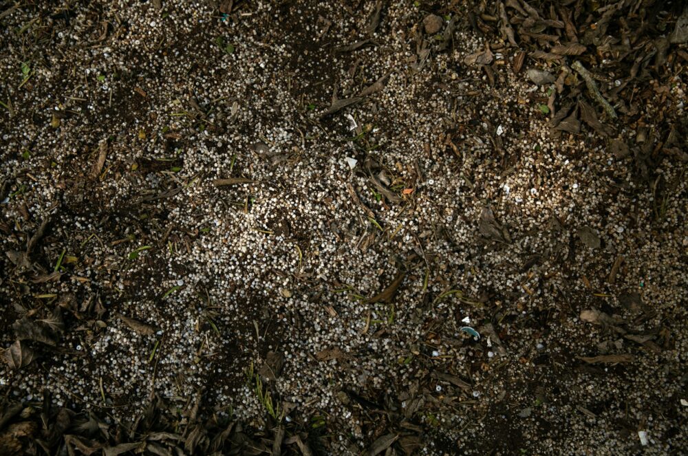 Plastic Pellets Seadrift