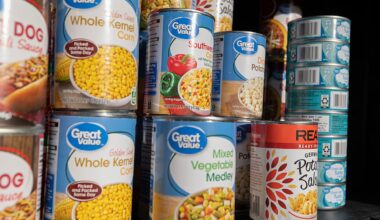 Meat, vegetables, canned goods among offerings at free Plano food pick-up – Shaw Local