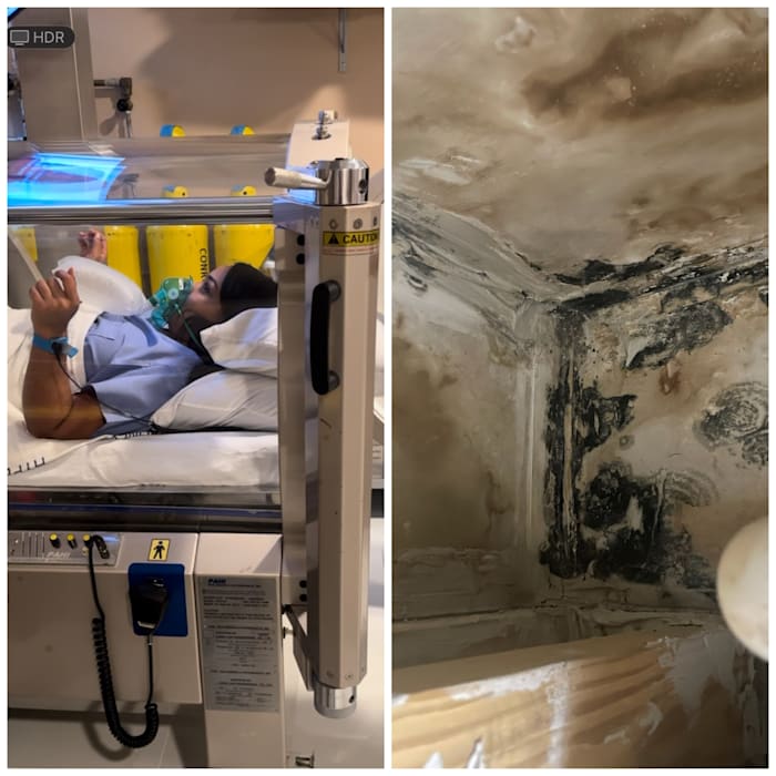 KPRC 2 journalist poisoned by toxic black mold turns pain into purpose