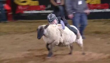 San Antonio Stock Show & Rodeo, San Antonio Coffee Festival, Crawfish Festival