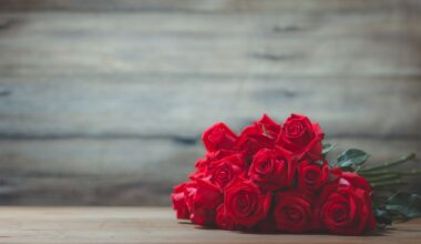 Austin singles share their perspectives on dating apps