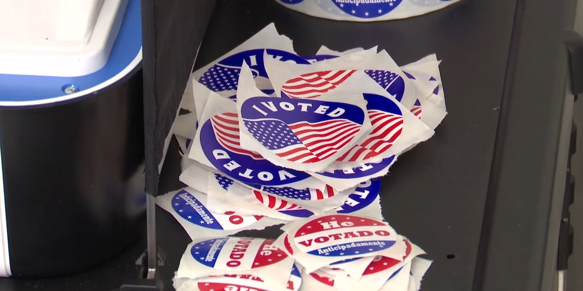 Lubbock County prepares for March primary elections, with early voting two weeks away