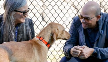 Dallas Animal Services invites North Texans to spend Valentine’s Day with shelter dogs