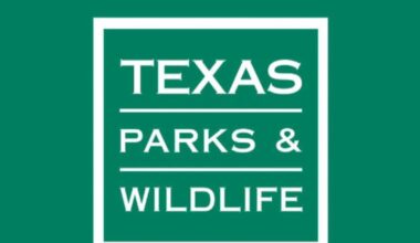 Texas Parks and Wildlife offering funding for grassland restoration in Panhandle, West Texas