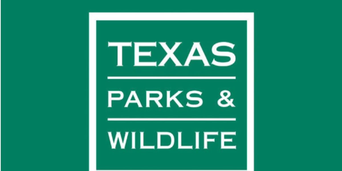 Texas Parks and Wildlife offering funding for grassland restoration in Panhandle, West Texas