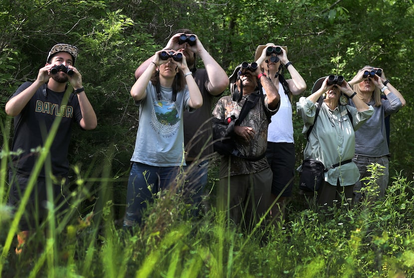 A bird watching group at the Trinity River Audubon Center in Dallas, Texas, Saturday, May...
