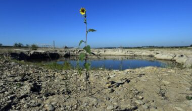 Texas, Okla. ranchers brace for harsh summer after 6th year of drought