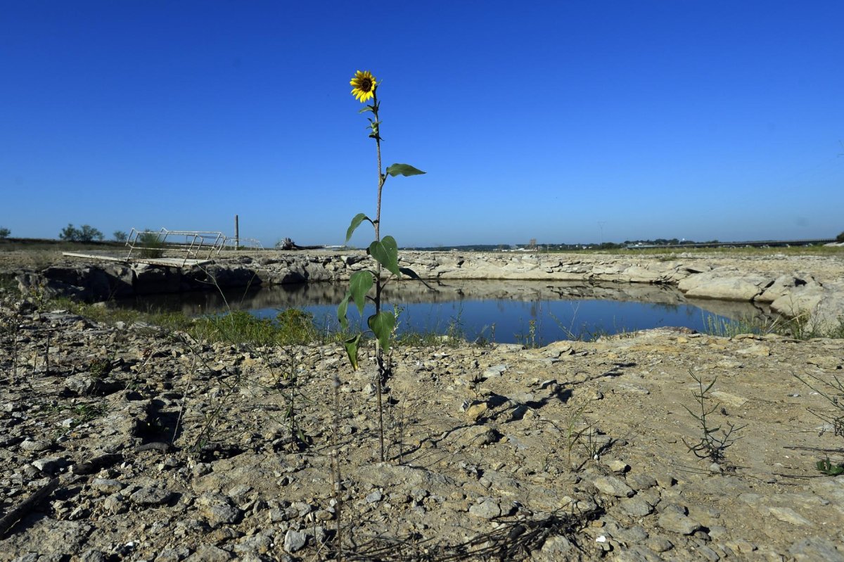 Texas, Okla. ranchers brace for harsh summer after 6th year of drought