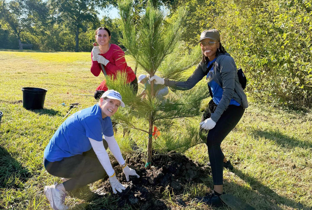 Trees for Houston volunteers plant a tree.