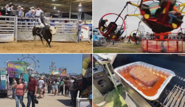 Yeehaw! What to expect at the 2026 Galveston County Fair & Rodeo