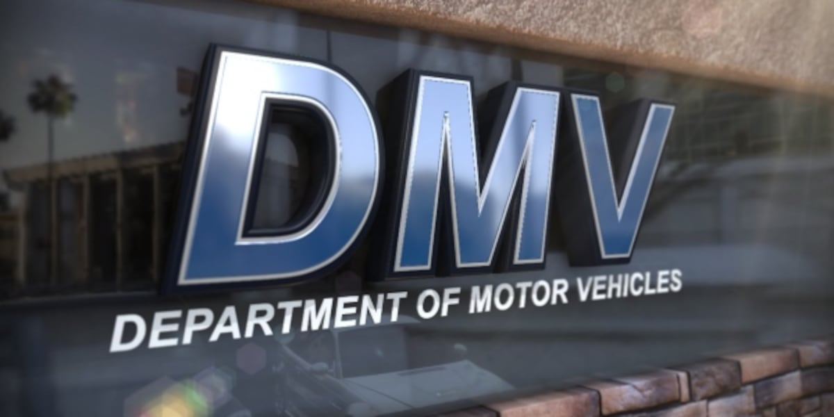 El Paso County DMV temporarily closing all branches for major system upgrade